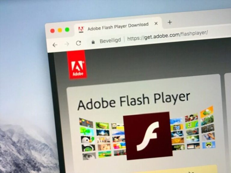browser with flash player windows